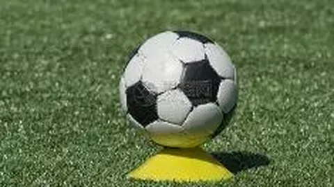 千亿体育 资讯 104251 sk0